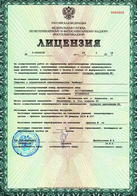 О нас
